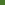 Artists' Oil Color - Sap Green Color Swatch