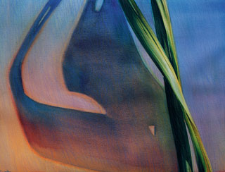 "Painting A Series" by Anne-Marie Harvey