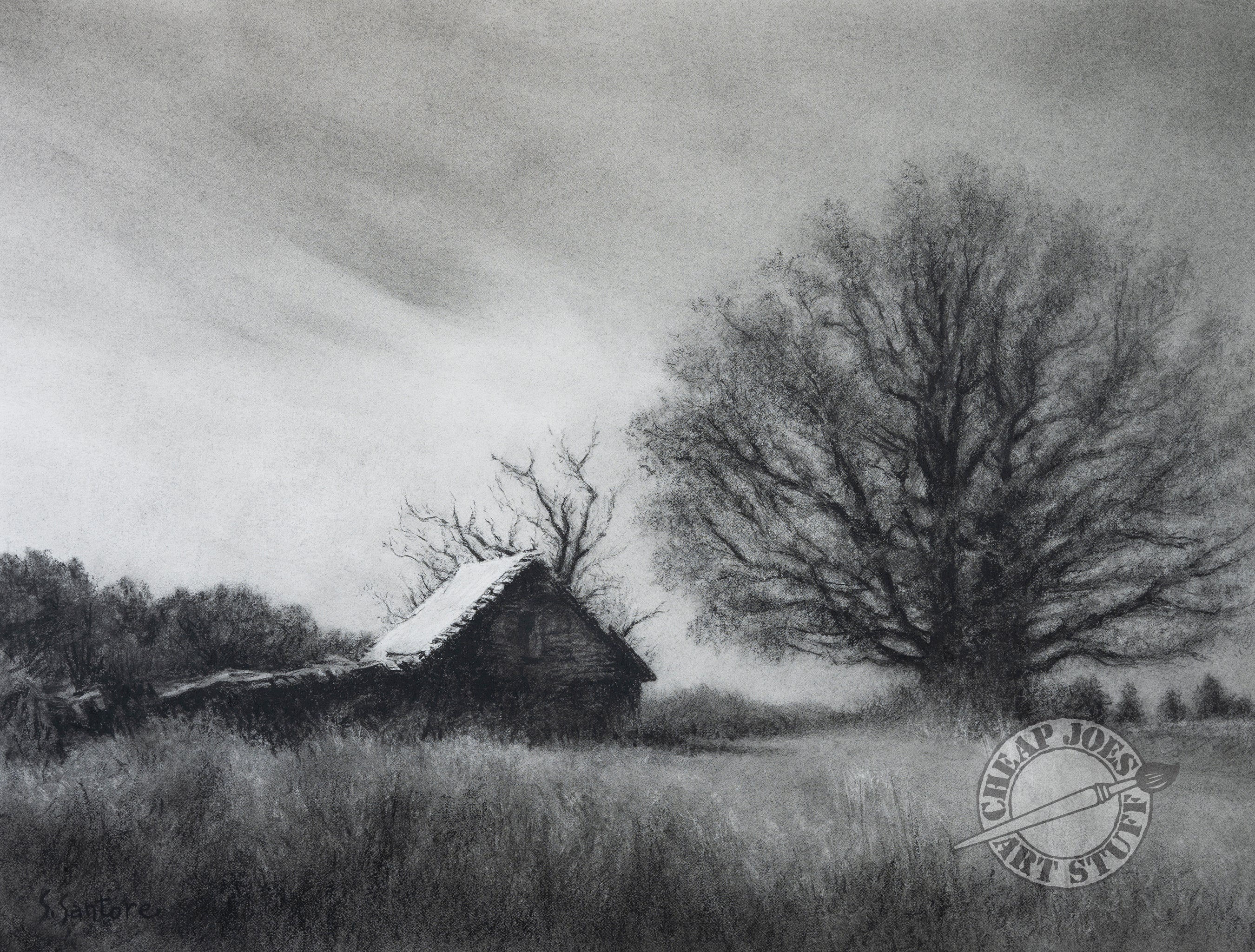 "Made from Trees in Mills River, NC" By Stephen Santore