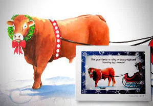 drawing of Koda the bull wearing a wreath collar, and a bell harness. A greeting card version is also shown.
