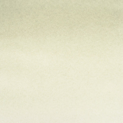 American Journey Artists' Watercolor - Coastal Fog, 37 ml, (PBr7/PW6)