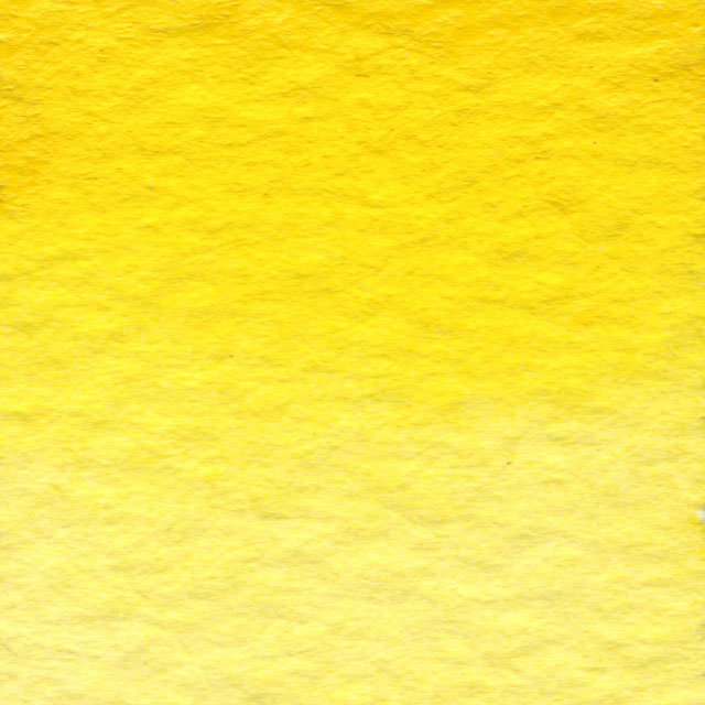  Cadmium Yellow Medium