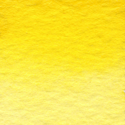 Cadmium Yellow Medium