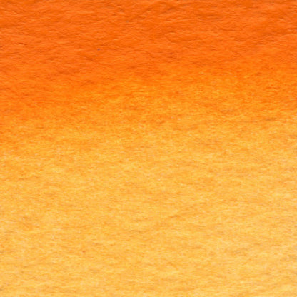 Halloween Orange
