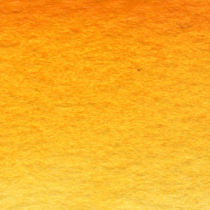  Indian Yellow