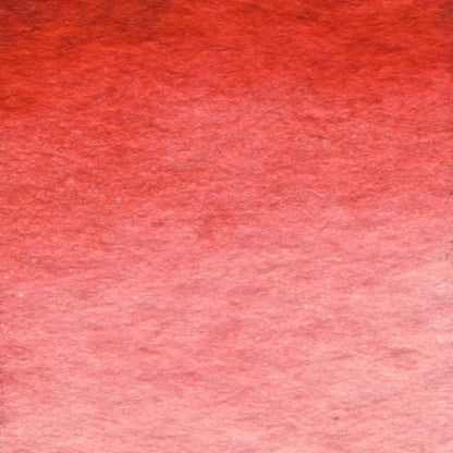  Coral Swatch