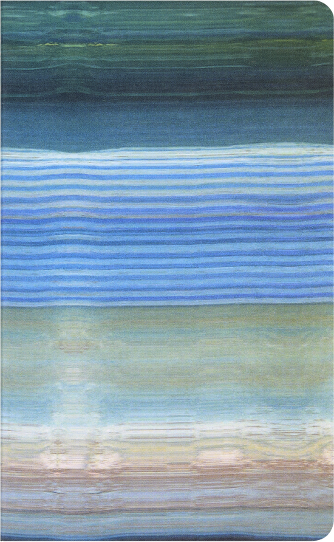 Moleskine Impressions of Impressionism Cahier Journals, Set of 2 Large, Plain Cahier Journals