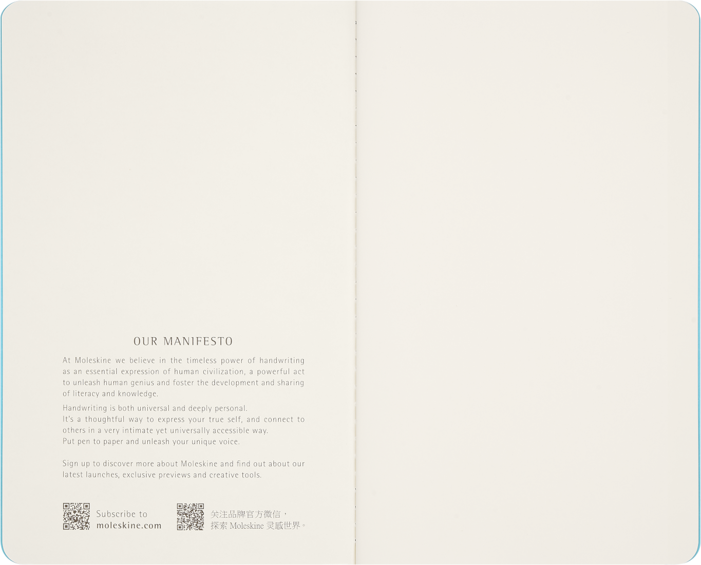 Moleskine Impressions of Impressionism Cahier Journals, Set of 2 Large, Plain Cahier Journals