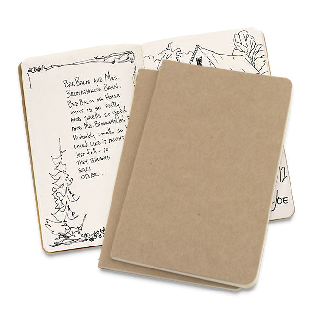 Moleskine Cahier Journals