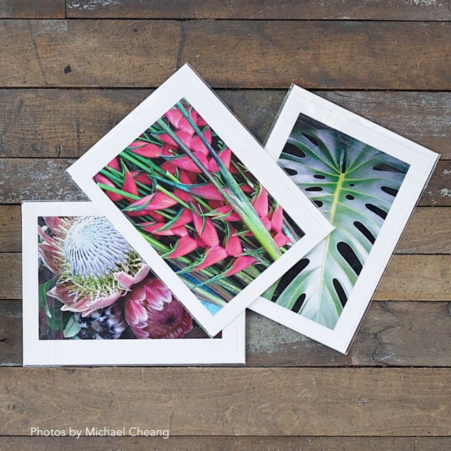 Strathmore Photo Mount and Photo Frame Cards