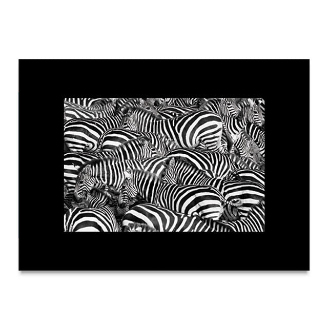 Strathmore Photo Mount and Photo Frame Cards