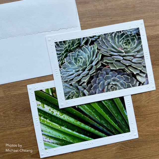 Strathmore Photo Mount and Photo Frame Cards