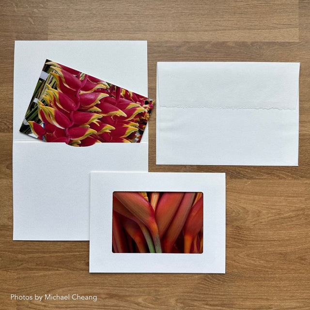 Strathmore Photo Mount and Photo Frame Cards
