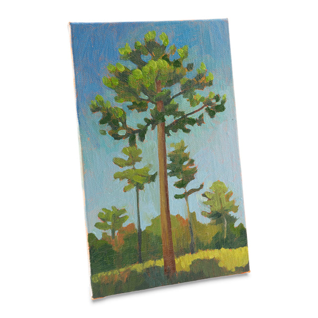 Joe's Prime Linen Canvas Panels - 3 packs